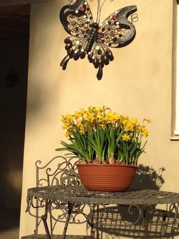 Bed & Breakfast L'Orangerie Каркасон Екстериор снимка